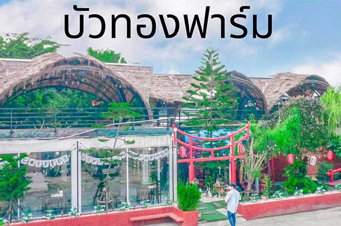 บัวทองฟาร์มนนทบุรี