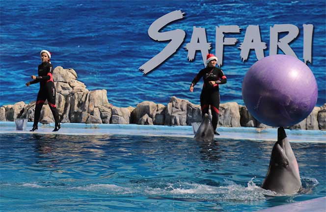 safari world
